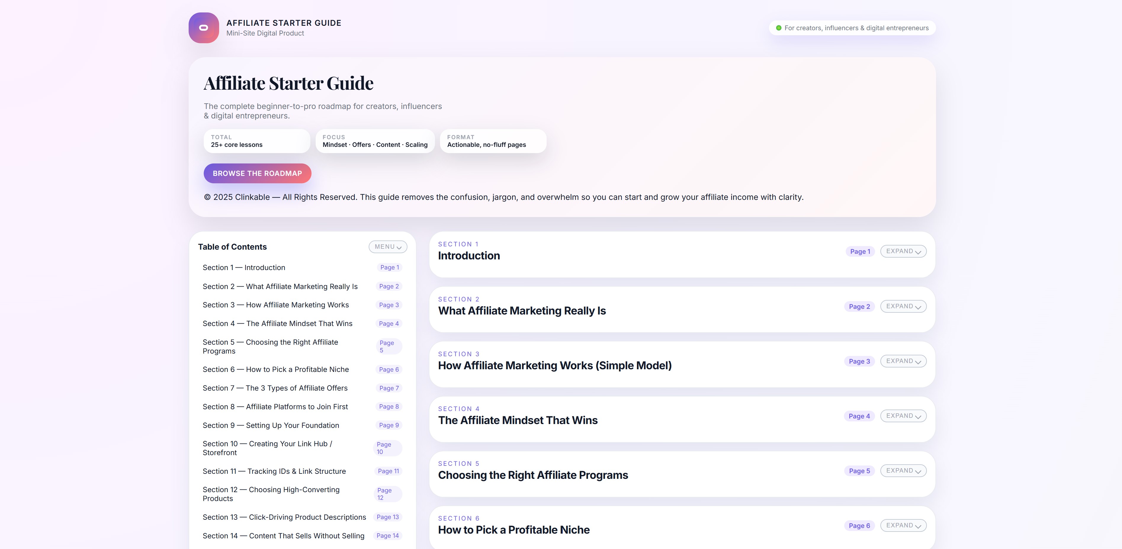 Affiliate Starter Guide mini-site preview